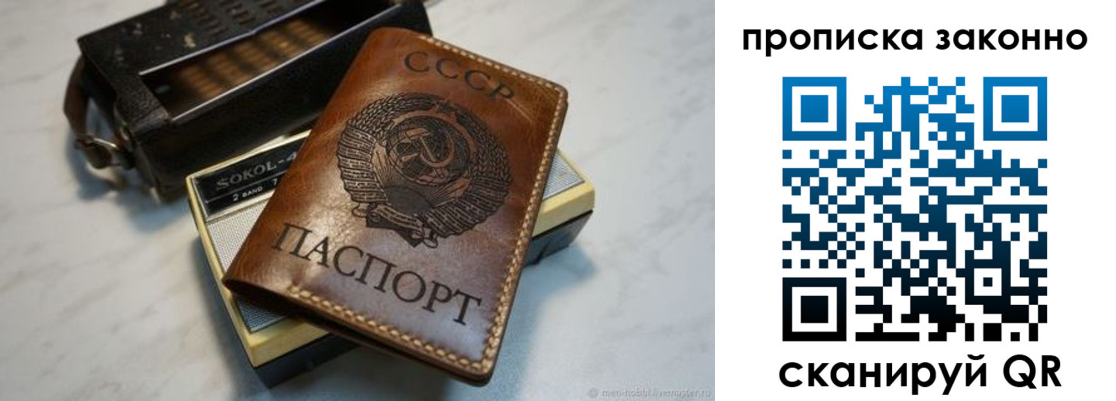 временная регистрация надежно в Мурманской области